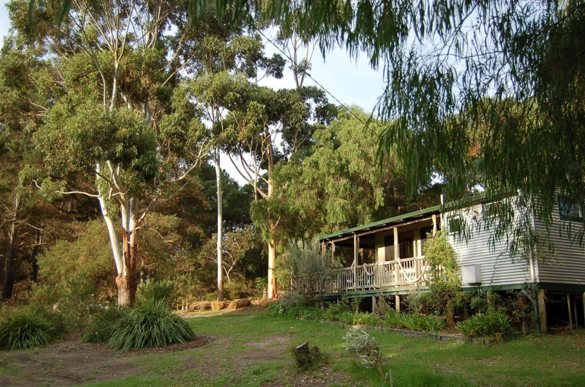 Cape Howe Cottages Lowlands Exteriör bild